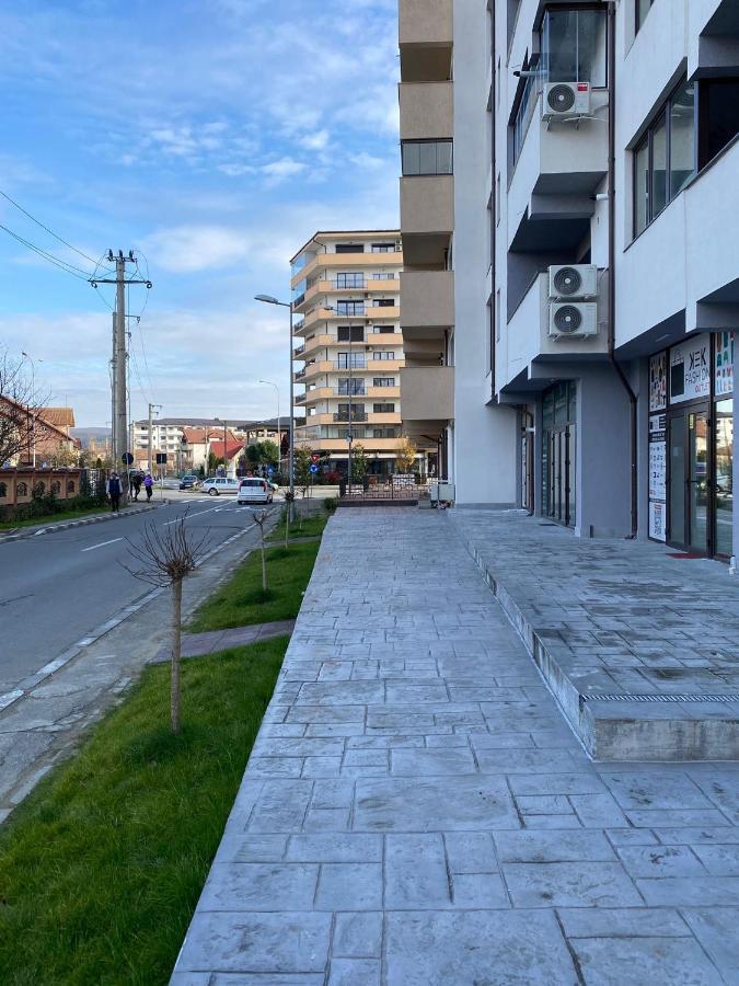 Apartament David Râmnicu Vâlcea エクステリア 写真