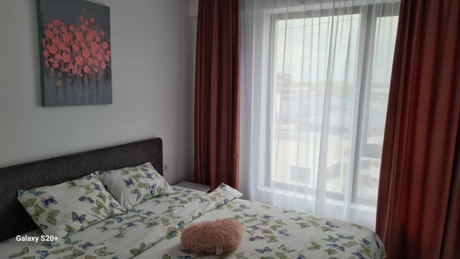 Apartament David Râmnicu Vâlcea エクステリア 写真